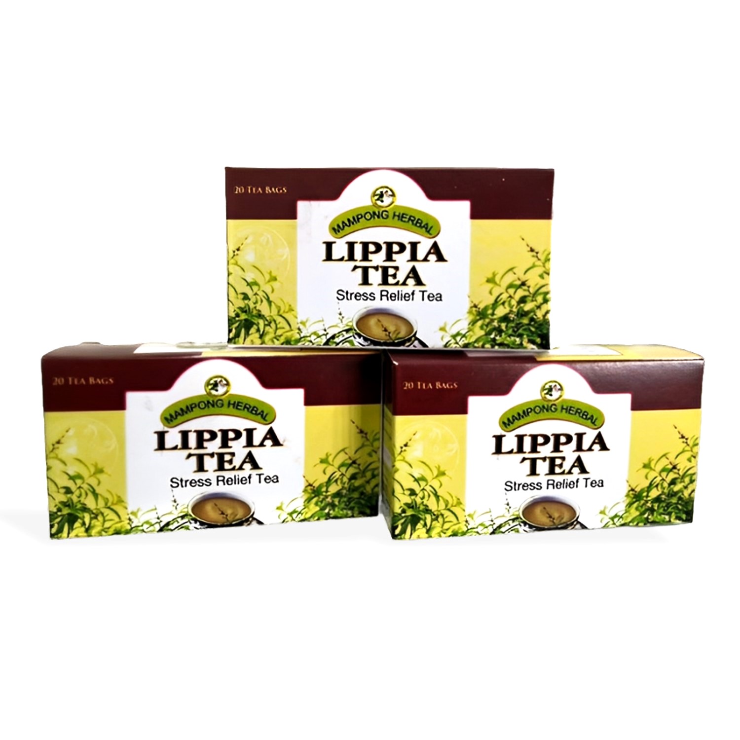 Lippia Tea