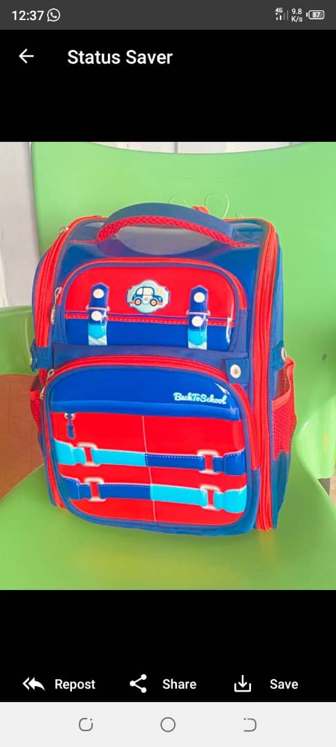 School Bags